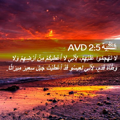 Picture 02 - اَلتَّثْنِيَة 2:5 AVD - لَا تَهْجِمُوا - Bible Verse Picture