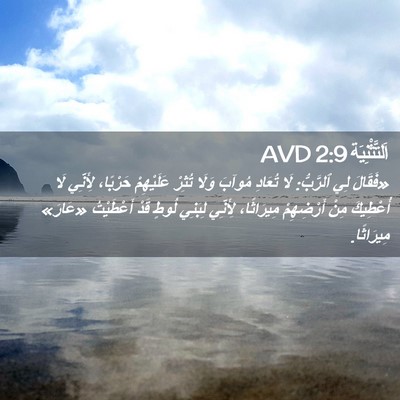 Picture 02 - اَلتَّثْنِيَة 2:9 AVD - «فَقَالَ لِي ٱلرَّبُّ: لَا - Bible Verse Picture