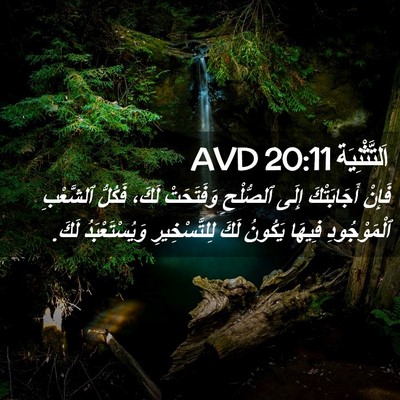 Picture 02 - اَلتَّثْنِيَة 20:11 AVD - فَإِنْ أَجَابَتْكَ إِلَى - Bible Verse Picture