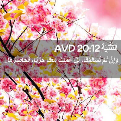 Picture 02 - اَلتَّثْنِيَة 20:12 AVD - وَإِنْ لَمْ تُسَالِمْكَ، - Bible Verse Picture