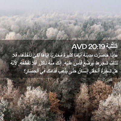 Picture 02 - اَلتَّثْنِيَة 20:19 AVD - «إِذَا حَاصَرْتَ - Bible Verse Picture