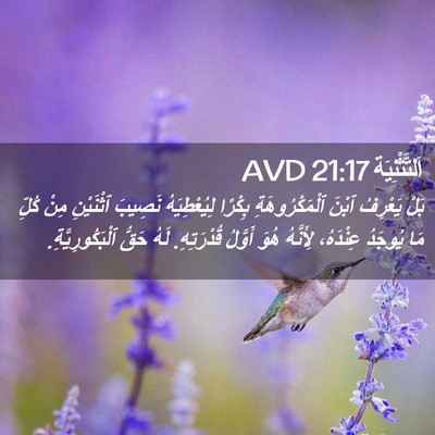 Picture 02 - اَلتَّثْنِيَة 21:17 AVD - بَلْ يَعْرِفُ ٱبْنَ - Bible Verse Picture