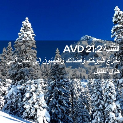 Picture 02 - اَلتَّثْنِيَة 21:2 AVD - يَخْرُجُ شُيُوخُكَ - Bible Verse Picture