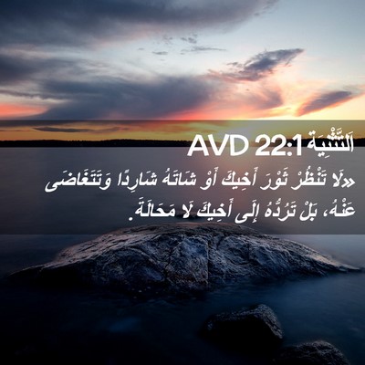 Picture 02 - اَلتَّثْنِيَة 22:1 AVD - «لَا تَنْظُرْ ثَوْرَ - Bible Verse Picture