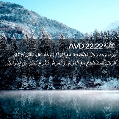 Picture 02 - اَلتَّثْنِيَة 22:22 AVD - «إِذَا وُجِدَ رَجُلٌ - Bible Verse Picture