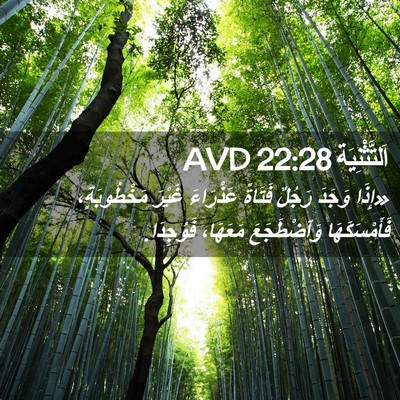 Picture 02 - اَلتَّثْنِيَة 22:28 AVD - «إِذَا وَجَدَ رَجُلٌ - Bible Verse Picture