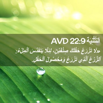 Picture 02 - اَلتَّثْنِيَة 22:9 AVD - «لَا تَزْرَعْ حَقْلَكَ - Bible Verse Picture
