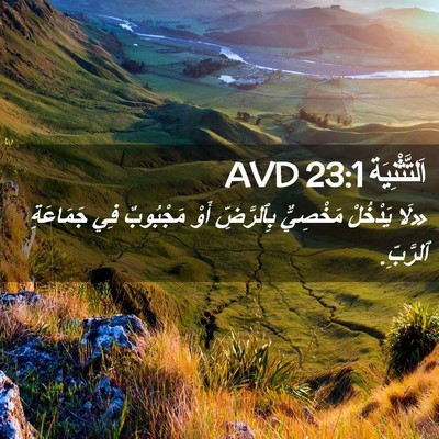 Picture 02 - اَلتَّثْنِيَة 23:1 AVD - «لَا يَدْخُلْ مَخْصِيٌّ - Bible Verse Picture