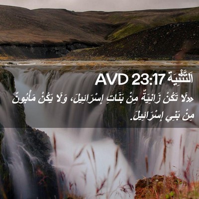 Picture 02 - اَلتَّثْنِيَة 23:17 AVD - «لَا تَكُنْ زَانِيَةٌ مِنْ - Bible Verse Picture