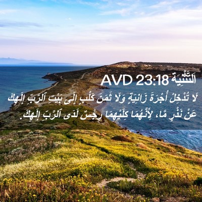 Picture 02 - اَلتَّثْنِيَة 23:18 AVD - لَا تُدْخِلْ أُجْرَةَ - Bible Verse Picture