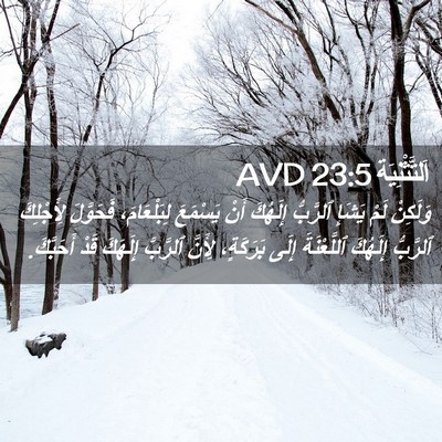Picture 02 - اَلتَّثْنِيَة 23:5 AVD - وَلَكِنْ لَمْ يَشَإِ - Bible Verse Picture