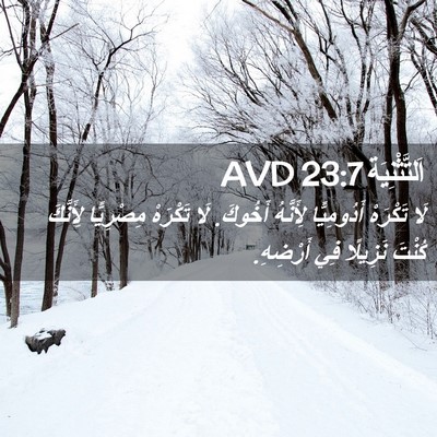 Picture 02 - اَلتَّثْنِيَة 23:7 AVD - لَا تَكْرَهْ أَدُومِيًّا - Bible Verse Picture