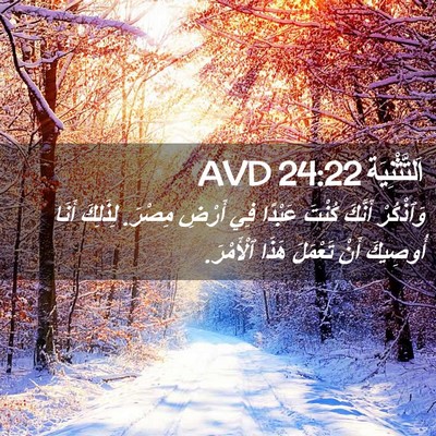 Picture 02 - اَلتَّثْنِيَة 24:22 AVD - وَٱذْكُرْ أَنَّكَ كُنْتَ - Bible Verse Picture