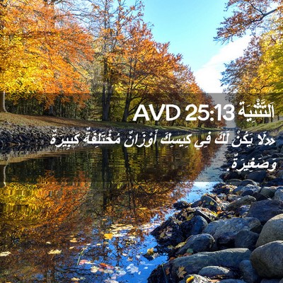 Picture 02 - اَلتَّثْنِيَة 25:13 AVD - «لَا يَكُنْ لَكَ فِي - Bible Verse Picture