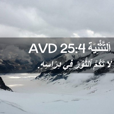 Picture 02 - اَلتَّثْنِيَة 25:4 AVD - لَا تَكُمَّ ٱلثَّوْرَ فِي - Bible Verse Picture