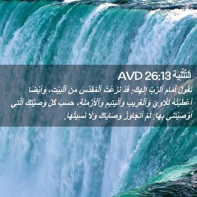 Picture 02 - اَلتَّثْنِيَة 26:13 AVD - تَقُولُ أَمَامَ ٱلرَّبِّ - Bible Verse Picture