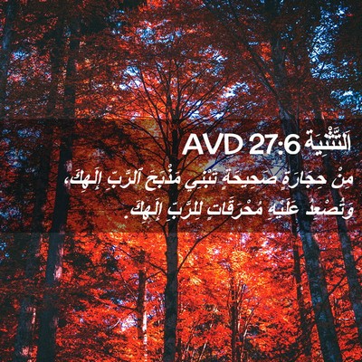 Picture 02 - اَلتَّثْنِيَة 27:6 AVD - مِنْ حِجَارَةٍ صَحِيحَةٍ - Bible Verse Picture