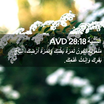 Picture 02 - اَلتَّثْنِيَة 28:18 AVD - مَلْعُونَةً تَكُونُ - Bible Verse Picture