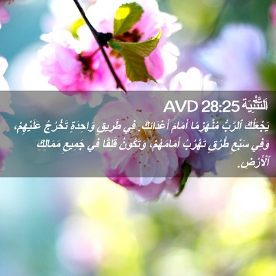 Picture 02 - اَلتَّثْنِيَة 28:25 AVD - يَجْعَلُكَ ٱلرَّبُّ - Bible Verse Picture