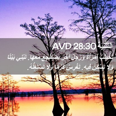 Picture 02 - اَلتَّثْنِيَة 28:30 AVD - تَخْطُبُ ٱمْرَأَةً - Bible Verse Picture