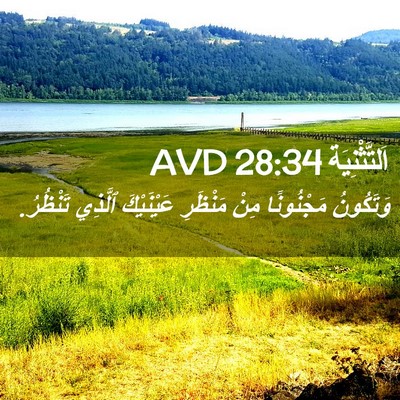 Picture 02 - اَلتَّثْنِيَة 28:34 AVD - وَتَكُونُ مَجْنُونًا مِنْ - Bible Verse Picture