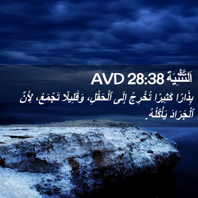 Picture 02 - اَلتَّثْنِيَة 28:38 AVD - بِذَارًا كَثِيرًا - Bible Verse Picture