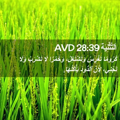 Picture 02 - اَلتَّثْنِيَة 28:39 AVD - كُرُومًا تَغْرِسُ - Bible Verse Picture