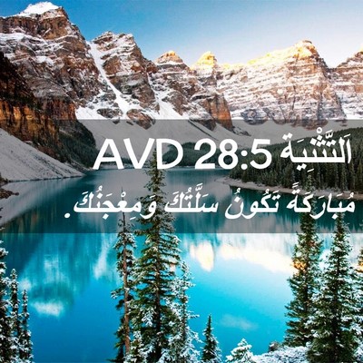 Picture 02 - اَلتَّثْنِيَة 28:5 AVD - مُبَارَكَةً تَكُونُ - Bible Verse Picture