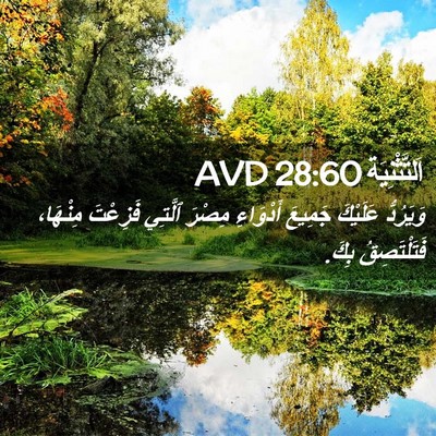 Picture 02 - اَلتَّثْنِيَة 28:60 AVD - وَيَرُدُّ عَلَيْكَ - Bible Verse Picture