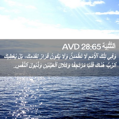 Picture 02 - اَلتَّثْنِيَة 28:65 AVD - وَفِي تِلْكَ ٱلْأُمَمِ لَا - Bible Verse Picture