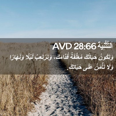 Picture 02 - اَلتَّثْنِيَة 28:66 AVD - وَتَكُونُ حَيَاتُكَ - Bible Verse Picture