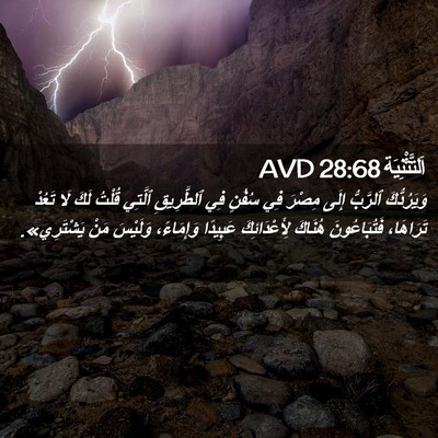 Picture 02 - اَلتَّثْنِيَة 28:68 AVD - وَيَرُدُّكَ ٱلرَّبُّ - Bible Verse Picture