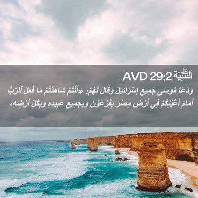 Picture 02 - اَلتَّثْنِيَة 29:2 AVD - وَدَعَا مُوسَى جَمِيعَ - Bible Verse Picture