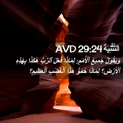Picture 02 - اَلتَّثْنِيَة 29:24 AVD - وَيَقُولُ جَمِيعُ - Bible Verse Picture