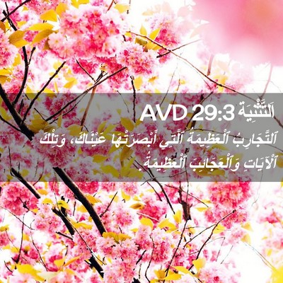 Picture 02 - اَلتَّثْنِيَة 29:3 AVD - ٱلتَّجَارِبُ ٱلْعَظِيمَةُ - Bible Verse Picture