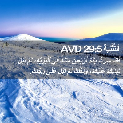 Picture 02 - اَلتَّثْنِيَة 29:5 AVD - فَقَدْ سِرْتُ بِكُمْ - Bible Verse Picture