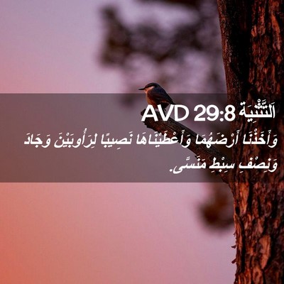 Picture 02 - اَلتَّثْنِيَة 29:8 AVD - وَأَخَذْنَا أَرْضَهُمَا - Bible Verse Picture