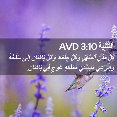 Picture 02 - اَلتَّثْنِيَة 3:10 AVD - كُلَّ مُدُنِ ٱلسَّهْلِ - Bible Verse Picture
