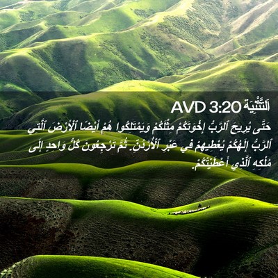 Picture 02 - اَلتَّثْنِيَة 3:20 AVD - حَتَّى يُرِيحَ ٱلرَّبُّ - Bible Verse Picture