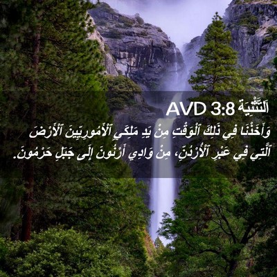 Picture 02 - اَلتَّثْنِيَة 3:8 AVD - وَأَخَذْنَا فِي ذَلِكَ - Bible Verse Picture