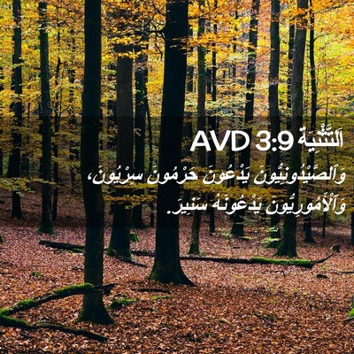 Picture 02 - اَلتَّثْنِيَة 3:9 AVD - وَٱلصَّيْدُونِيُّونَ - Bible Verse Picture