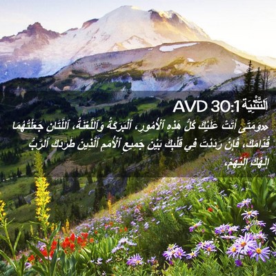 Picture 02 - اَلتَّثْنِيَة 30:1 AVD - «وَمَتَى أَتَتْ عَلَيْكَ - Bible Verse Picture