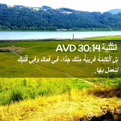 Picture 02 - اَلتَّثْنِيَة 30:14 AVD - بَلِ ٱلْكَلِمَةُ - Bible Verse Picture