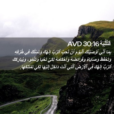 Picture 02 - اَلتَّثْنِيَة 30:16 AVD - بِمَا أَنِّي أَوْصَيْتُكَ - Bible Verse Picture