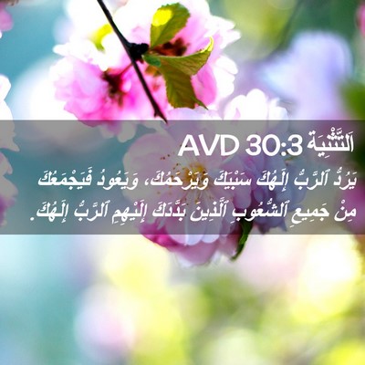 Picture 02 - اَلتَّثْنِيَة 30:3 AVD - يَرُدُّ ٱلرَّبُّ إِلَهُكَ - Bible Verse Picture