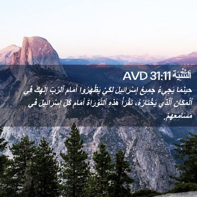 Picture 02 - اَلتَّثْنِيَة 31:11 AVD - حِينَمَا يَجِيءُ جَمِيعُ - Bible Verse Picture