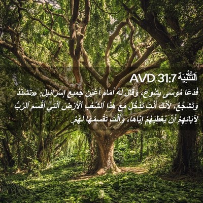 Picture 02 - اَلتَّثْنِيَة 31:7 AVD - فَدَعَا مُوسَى يَشُوعَ، - Bible Verse Picture