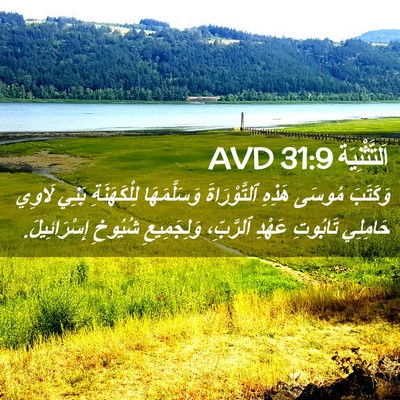 Picture 02 - اَلتَّثْنِيَة 31:9 AVD - وَكَتَبَ مُوسَى هَذِهِ - Bible Verse Picture