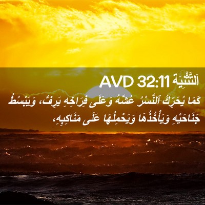 Picture 02 - اَلتَّثْنِيَة 32:11 AVD - كَمَا يُحَرِّكُ ٱلنَّسْرُ - Bible Verse Picture