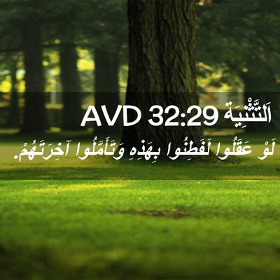 Picture 02 - اَلتَّثْنِيَة 32:29 AVD - لَوْ عَقَلُوا لَفَطِنُوا - Bible Verse Picture